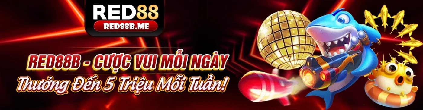 Tầm nhìn và sứ mệnh của 1bmw